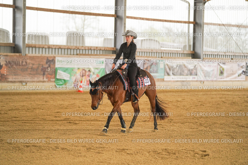 DSC09872 | Pferdegrafie