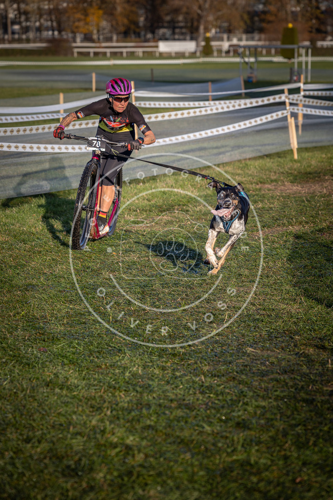 CaniXpix_0L8A3649 | Hundefotografie, Tierfotograf, Pfotenfotografie, Fotoshooting Hund, Hunde Portrait, Hundesport, Hundeportraits, Heideshooting, Hunde, Sportfotograf, Hundefotograf, Turnierhundsport, THS,  - Realisiert mit Pictrs.com
