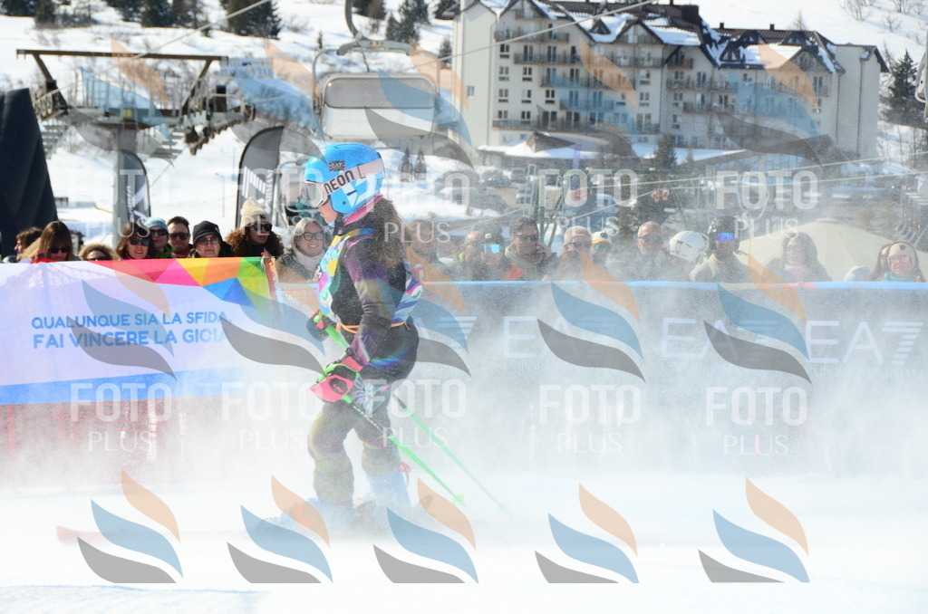 DSC_0366 | holidayphoto