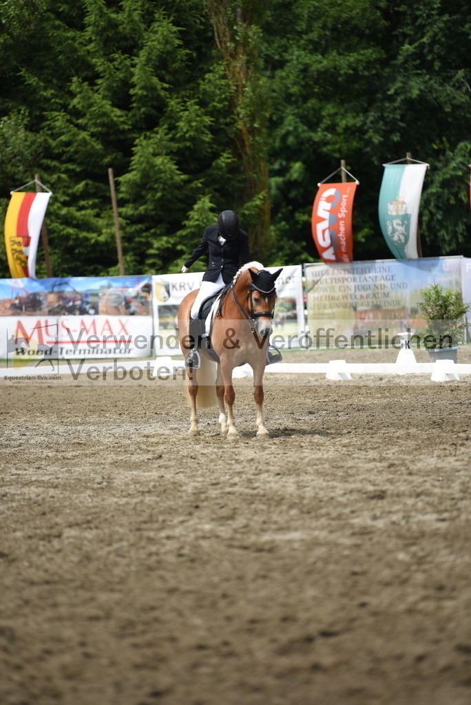 DSC_0717 | equestrian-live-com