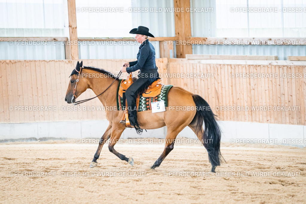 DSC01873 | Pferdegrafie