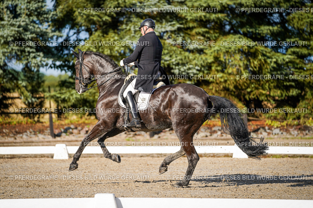 DSC00799 | Pferdegrafie