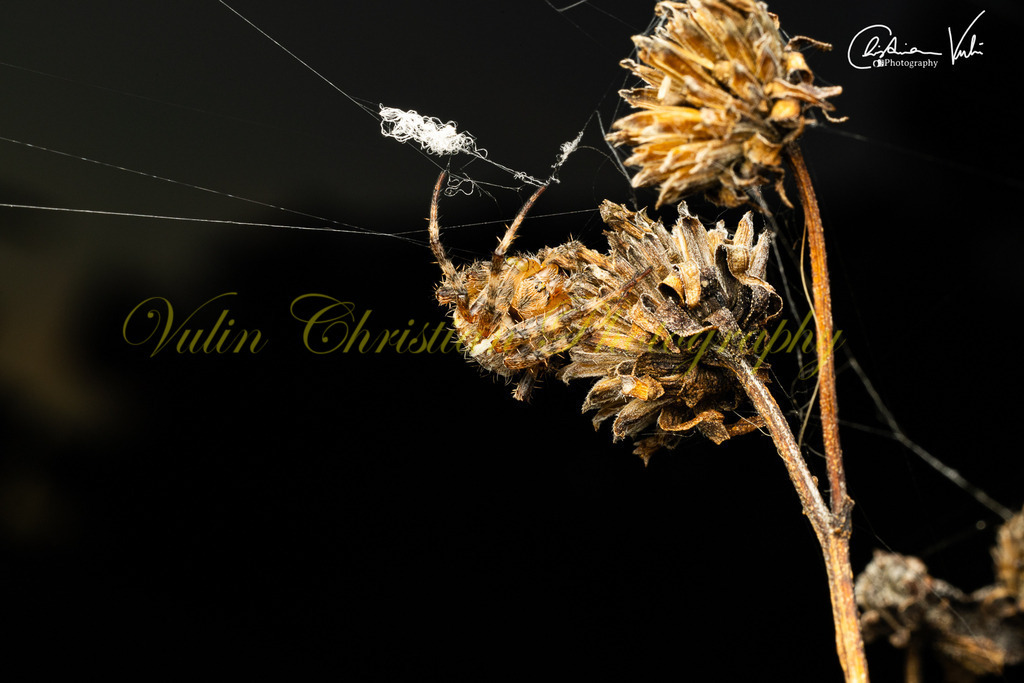 MN 3 | Christian Vulin  - Realisiert mit Pictrs.com