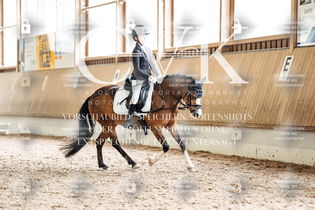 CK901426 | Turnierfotografie Pferdefotografie Trier Rheinland-Pfalz Pferdesport Reitsport Tierfotografie Sportfotografie Pferdevideo Pferdevideografie Equestrianvideography equestrianphotography  - Realisiert mit Pictrs.com