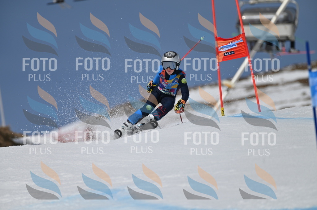 BGV_6382 | holidayphoto