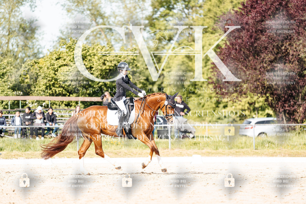 CK900300 | Turnierfotografie Pferdefotografie Trier Rheinland-Pfalz Pferdesport Reitsport Tierfotografie Sportfotografie Pferdevideo Pferdevideografie Equestrianvideography equestrianphotography  - Realisiert mit Pictrs.com