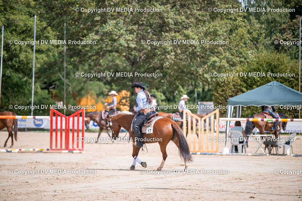 ZS3_5262 | dv-media-shop - Realisiert mit Pictrs.com