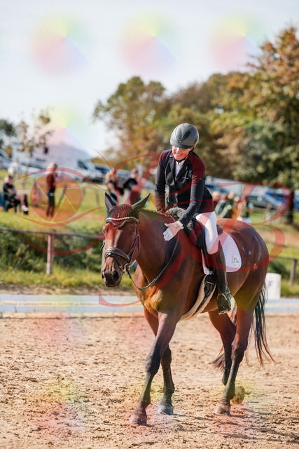 2026_10_03_Siefer-Hof_130547_Z63_69749230 | Professionelle Reitsport-, Turnier- und Eventfotografie von Robert Broda. Galerien mit ausgewählten und bearbeiteten Bildern direkt online ansehen und bestellen.