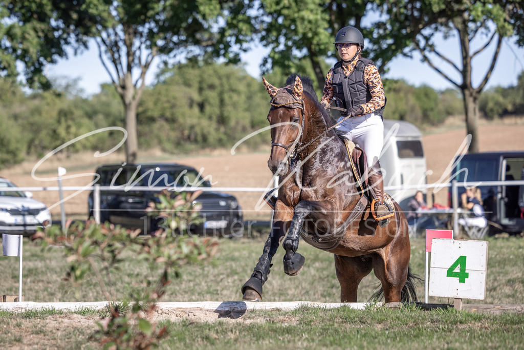 20260906-_3LI1821 | Tierfotografie Pferde, Hunde, Katzen, Haustiere.
Turnierfotografie Reitturniere, Reiten, Springreiten, Dressur in Hanau, dem Main-Kinzig-Kreis und dem Rhein-Main- Gebiet um Frankfurt
