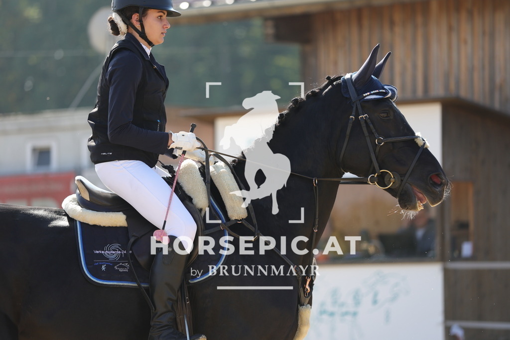 0P6A8029 | Willkommen bei Brunnmayr - Design & Fotografie – Ihrem Spezialisten für Reitturniere und Pferdeveranstaltungen in Oberösterreich, Salzburg und Bayern! Seit über 17 Jahren sind wir leidenschaftlich dabei.