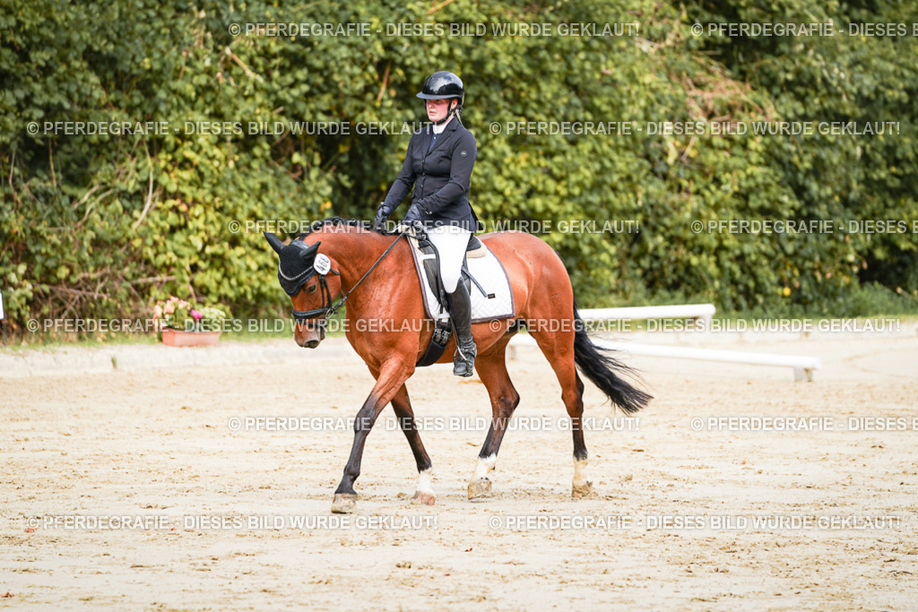 DSC01771 | Pferdegrafie