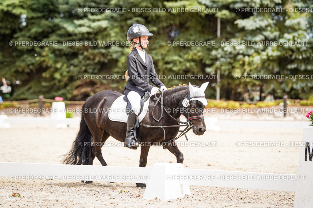 DSC02744 | Pferdegrafie