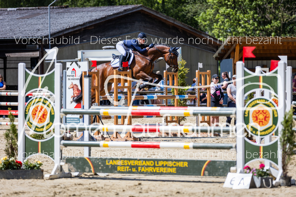 Donop24-L-Spr-028 | MomenTaufnahmen Pferdesportfotos