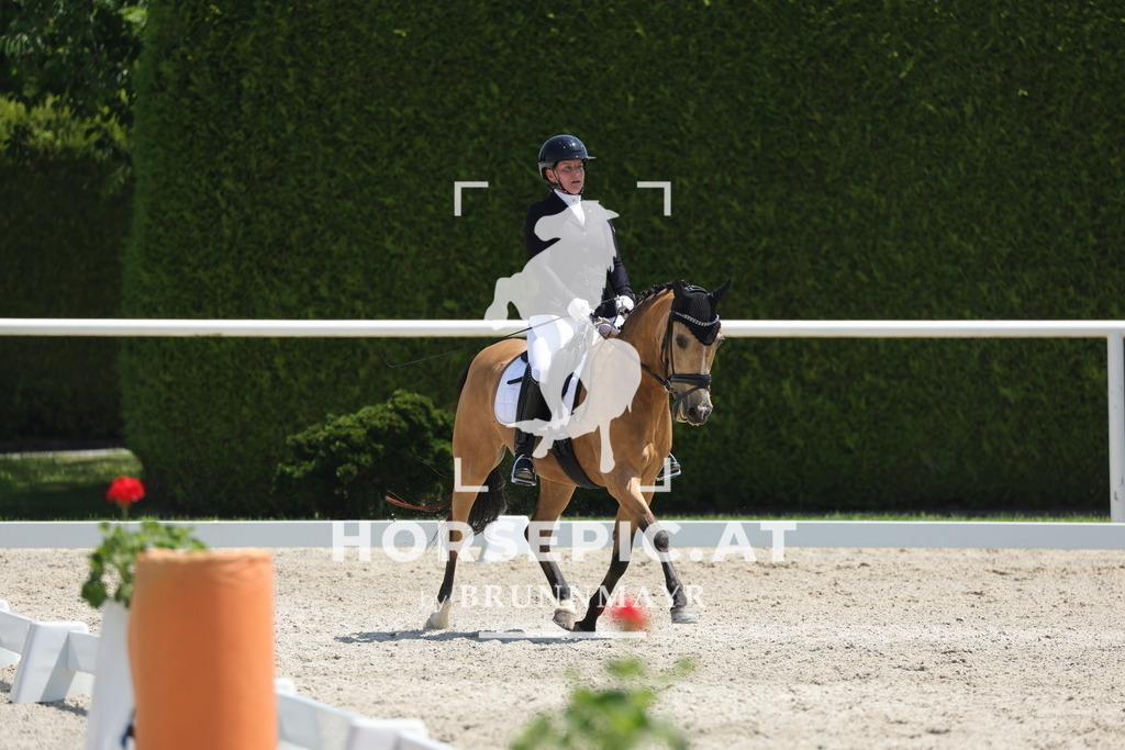 0P6A1663 | Willkommen bei Brunnmayr - Design & Fotografie – Ihrem Spezialisten für Reitturniere und Pferdeveranstaltungen in Oberösterreich, Salzburg und Bayern! Seit über 17 Jahren sind wir leidenschaftlich dabei.