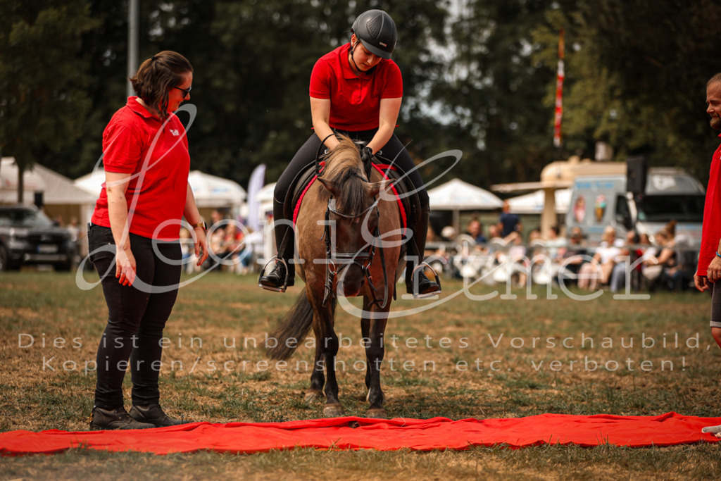 SoShow00097 | Leoni Ertmer Photography - Realisiert mit Pictrs.com