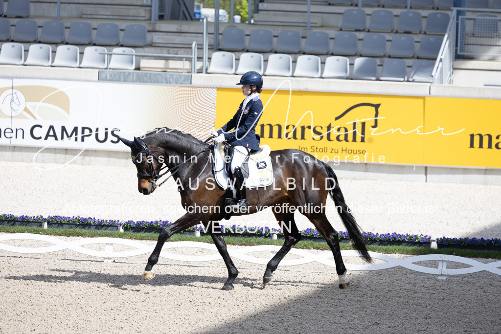 126A0311 | jasminmetznerfotografie