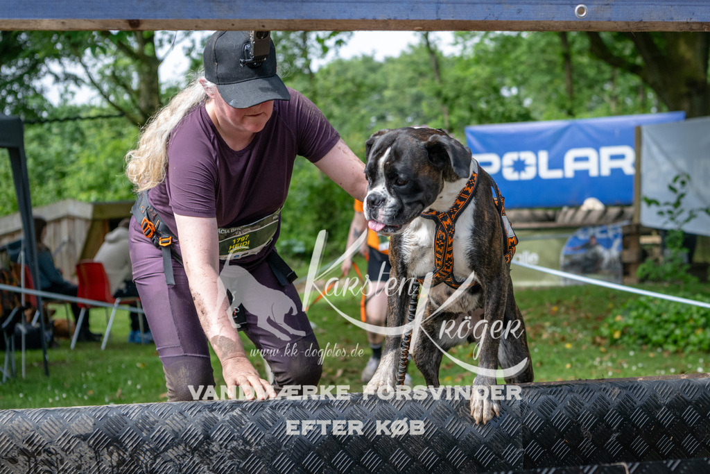 1032_ZZ91189 | kk-dogfotos