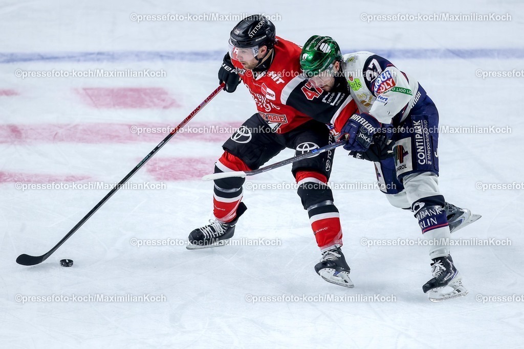 KEC20042601069 | 20.04.2026, Eishockey, DEL Halbfinale Play-Offs, Kölner Haie - Eisbären Berlin, Spiel 6, Lanxess-Arena Köln: Veli-Matti Vittasmäki (Kölner Haie #47) im Zweikampf gegen  Markus Vikingstad (Eisbären Berlin #37) 