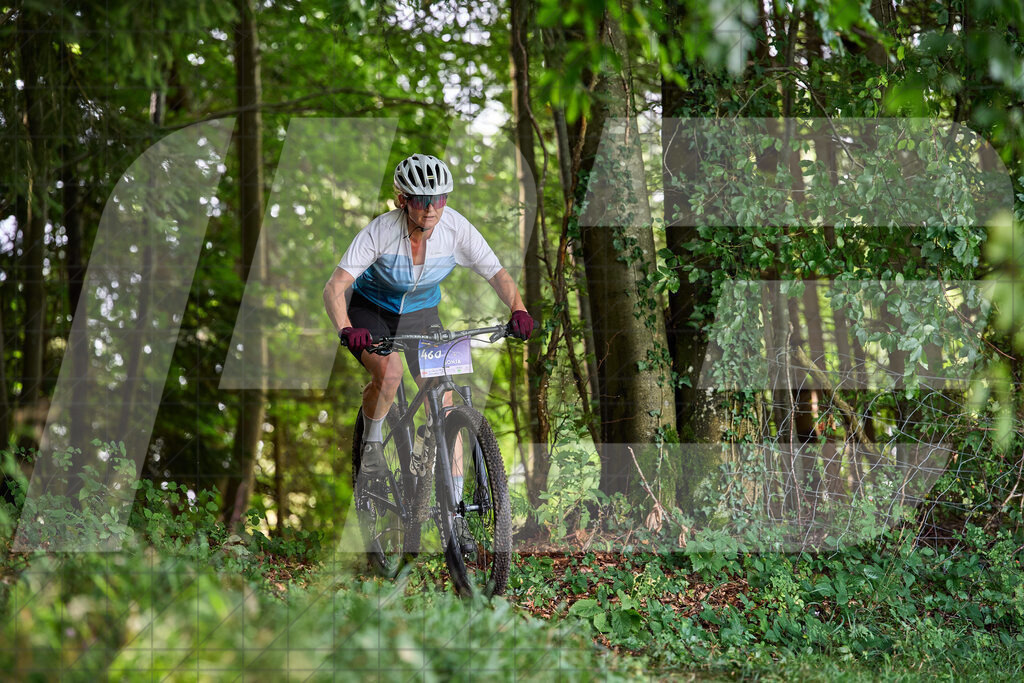 Betriebszentrum Laubenbachmühle, Frankenfels, Österreich - 13. September 2025: Dirndltal Race - Fun und Trophy RaceFotograf: Martin Bihounek / martinbihounek.com | 13. September 2025 Betriebszentrum Laubenbachmühle, Frankenfels, Österreich : Dirndltal Race - Fun und Trophy Race •••••Photo by: Martin Bihounek / martinbihounek.comInsta: @martinbihounekcom