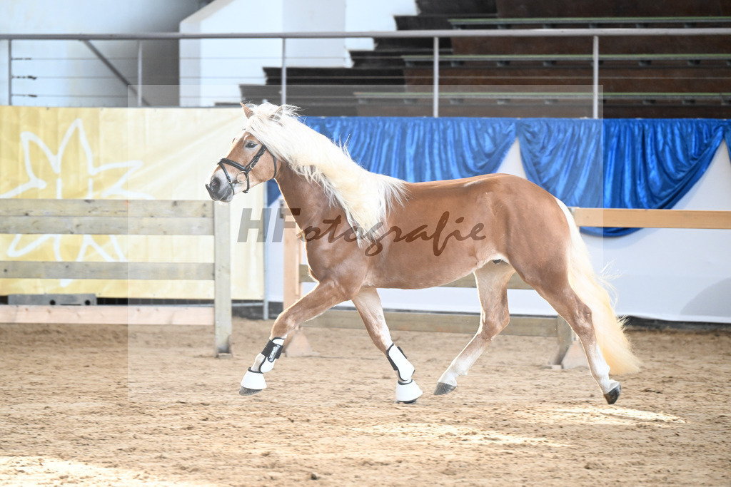 Kat-Nr. 11 nn v. Nordkerl_Nonn_48250232 | hf-fotografie - Realisiert mit Pictrs.com