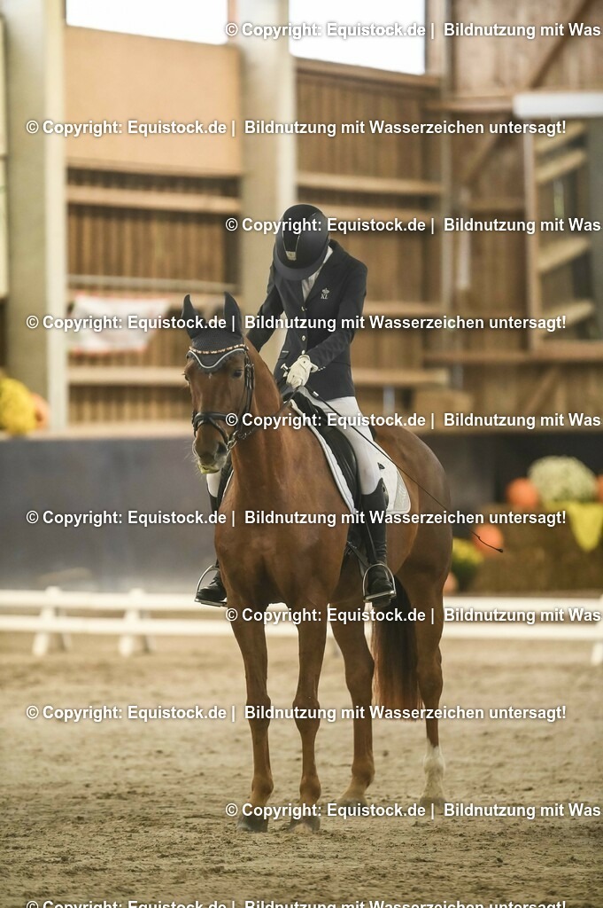 20231029_04_Dressur-WB_0086 | Foto: Thomas Hartig