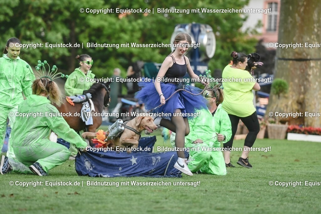 20230526_Pferdenacht_0470 | equistock