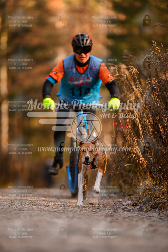 MompixPhotography_DM_AKDM_SO_2025_Scooter-218 | PayLife