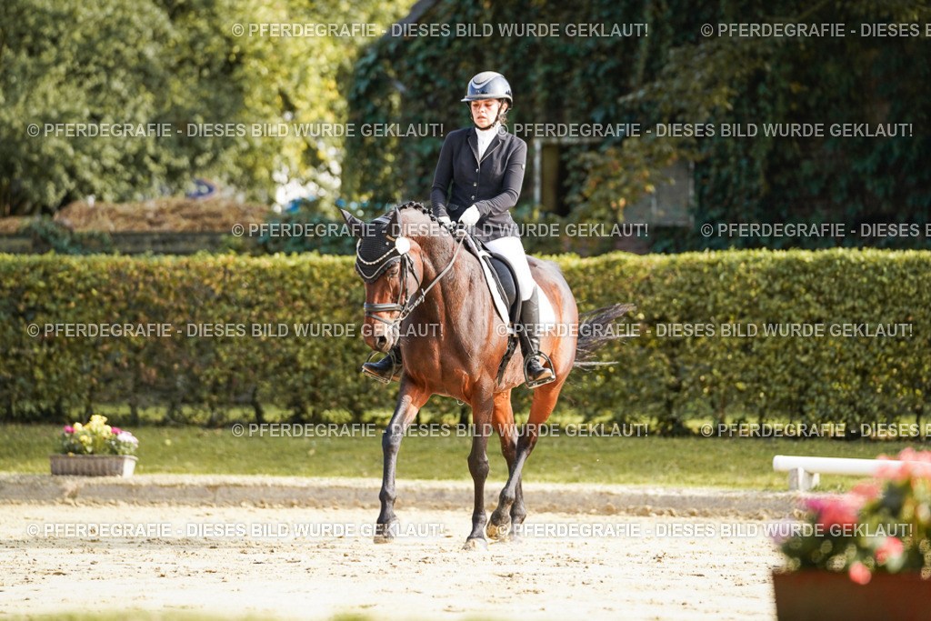 DSC05778 | Pferdegrafie