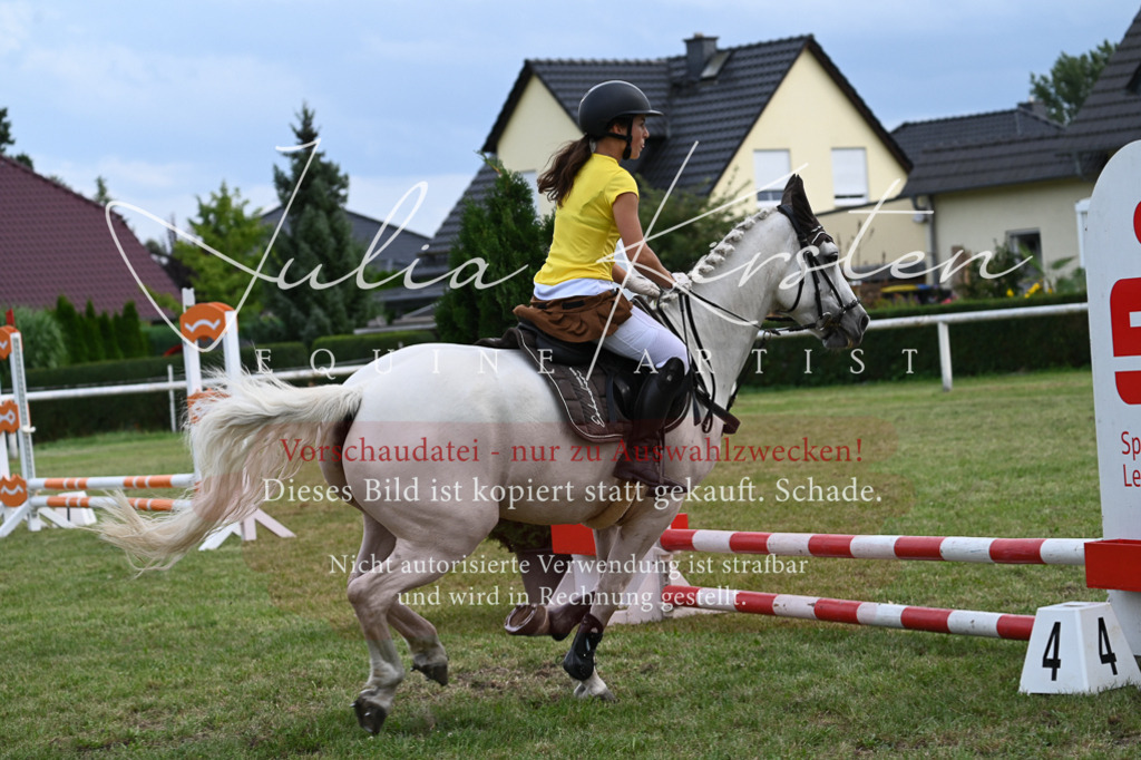 DSC_9159 | Pferde- und Turnierfotografie in Westsachsen. Pferdeportraits, Auftragszeichnungen und intuitive Kunst.