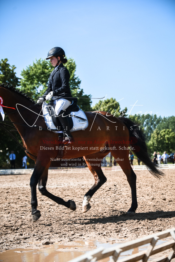 DSC_3716 | Pferde- und Turnierfotografie in Westsachsen. Pferdeportraits, Auftragszeichnungen und intuitive Kunst.