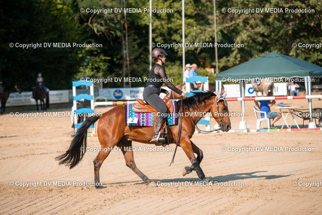 ZS2_8856 | dv-media-shop - Realisiert mit Pictrs.com