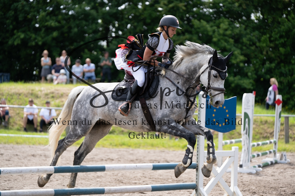 A7V04673 | Pferdefotograf