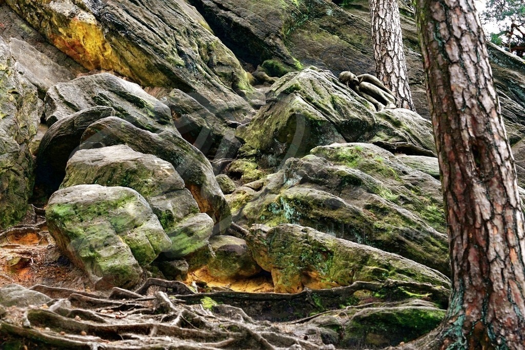 NatureArt-WALDKLIPPEN_8676 | Hockend vor dem Baum | #004 | Modell: Randy | Foto: Peter Bunn - Realisiert mit Pictrs.com