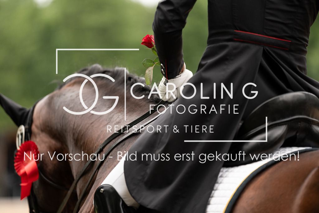 DSC00212 | Turnierfotografin Carolin Gieschke, Turnierfotografie Carolin G Fotografie, Turnierfotos Kirchheim/Teck, Esslingen, Stuttgart, Bodenseekreis