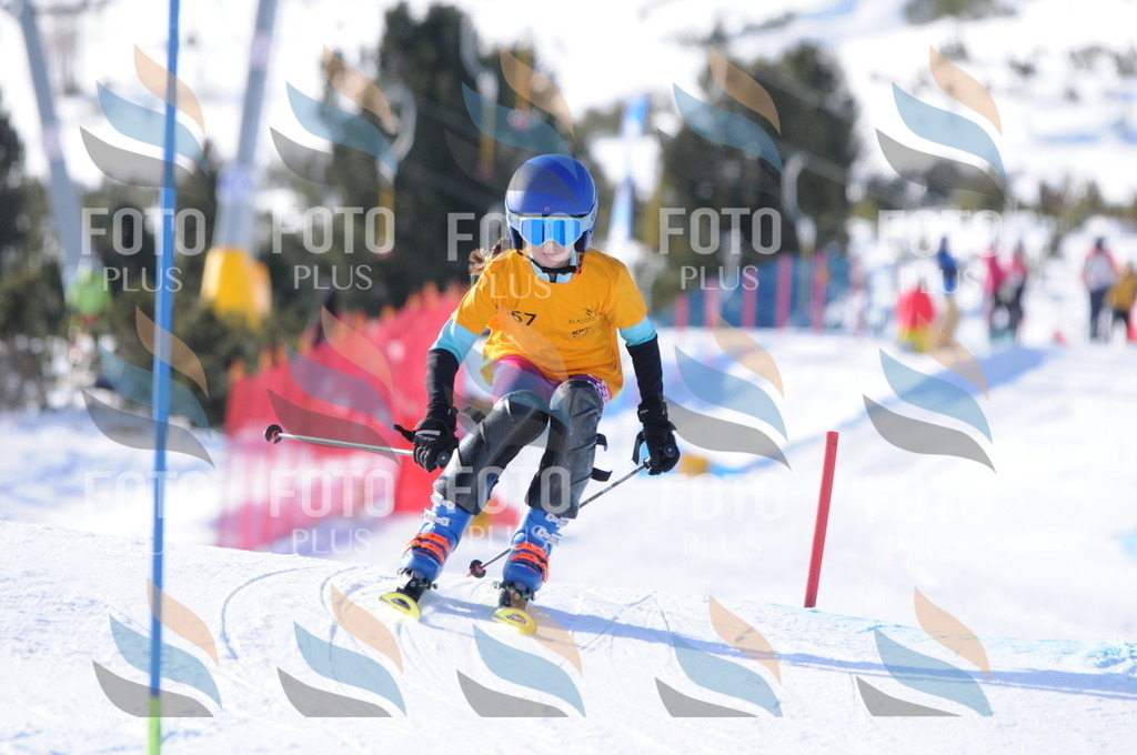 C6930 | holidayphoto