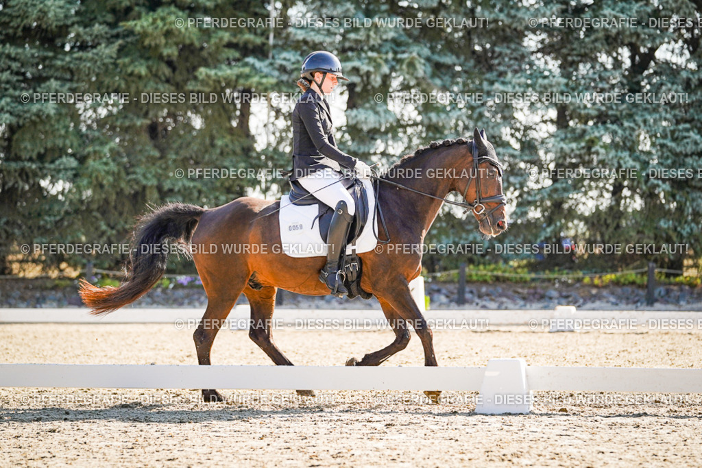 DSC00014 | Pferdegrafie