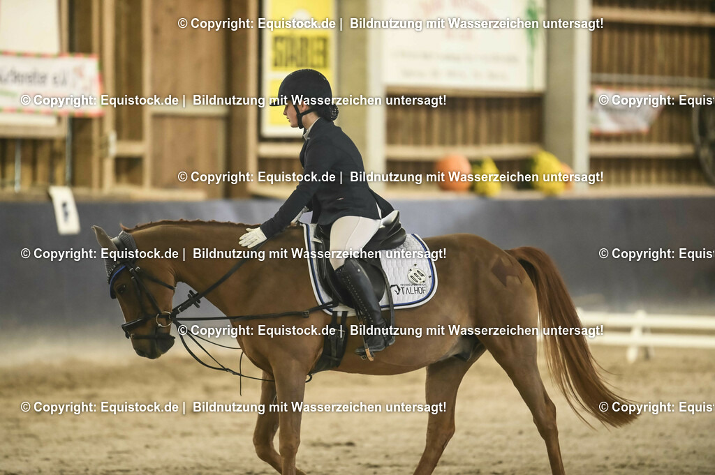 20231029_04_Dressur-WB_0082 | Foto: Thomas Hartig