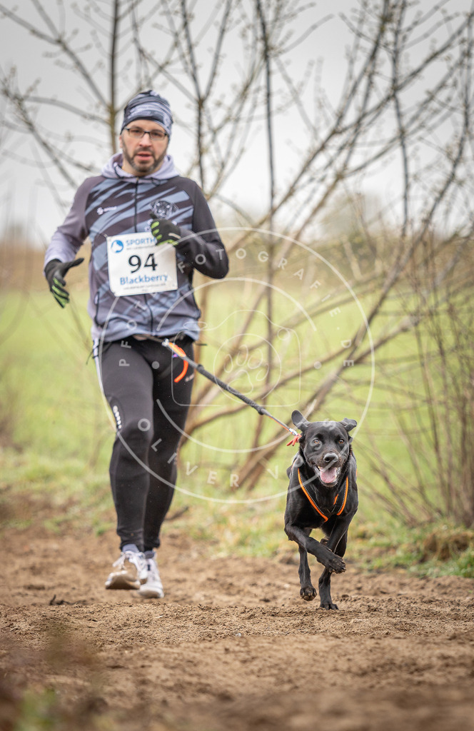 DV3A0056 | Hundefotografie, Tierfotograf, Pfotenfotografie, Fotoshooting Hund, Hunde Portrait, Hundesport, Hundeportraits, Heideshooting, Hunde, Sportfotograf, Hundefotograf, Turnierhundsport, THS,  - Realisiert mit Pictrs.com