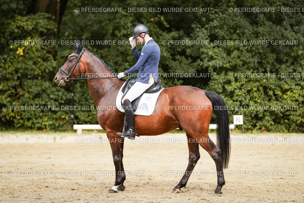 DSC09045 | Pferdegrafie