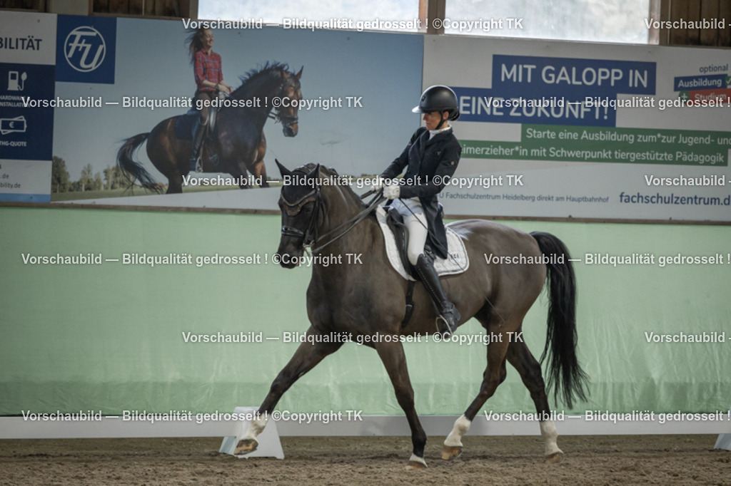 _D5A6880 | Emotionale Pferde- & People-Fotografie rund um Heidelberg, Leimen & Umgebung. Natürliche Fotos von Pferd, Mensch & Familie. Jetzt Termin sichern!