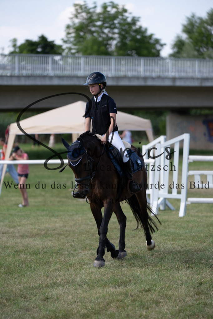 A7V00543 2 | Turnier/Reitfotograf