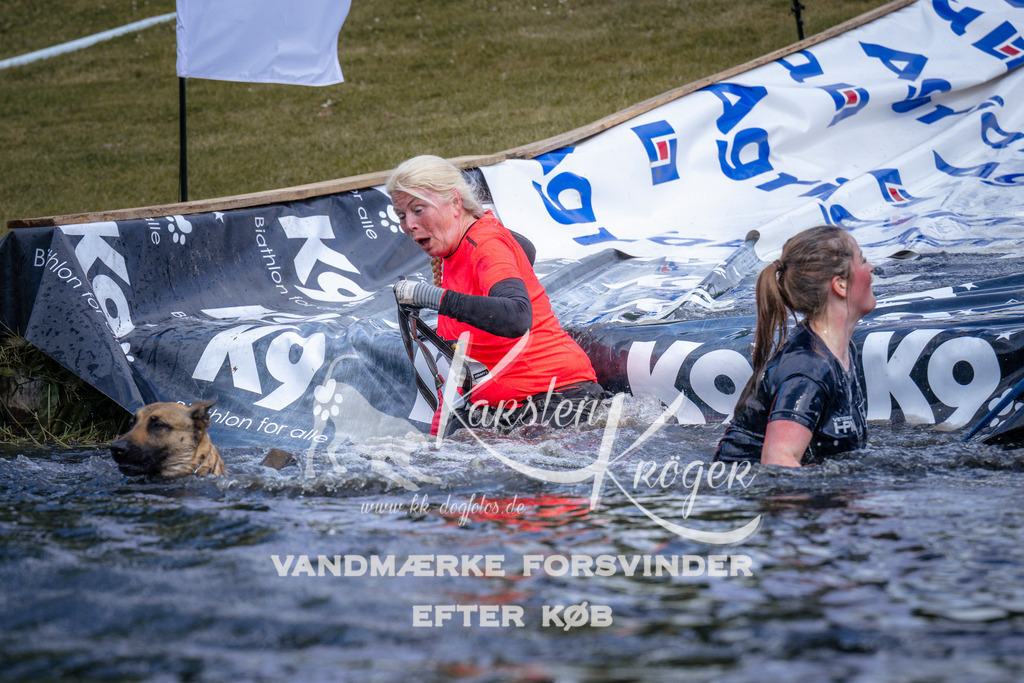 _ZZ911200911 | kk-dogfotos