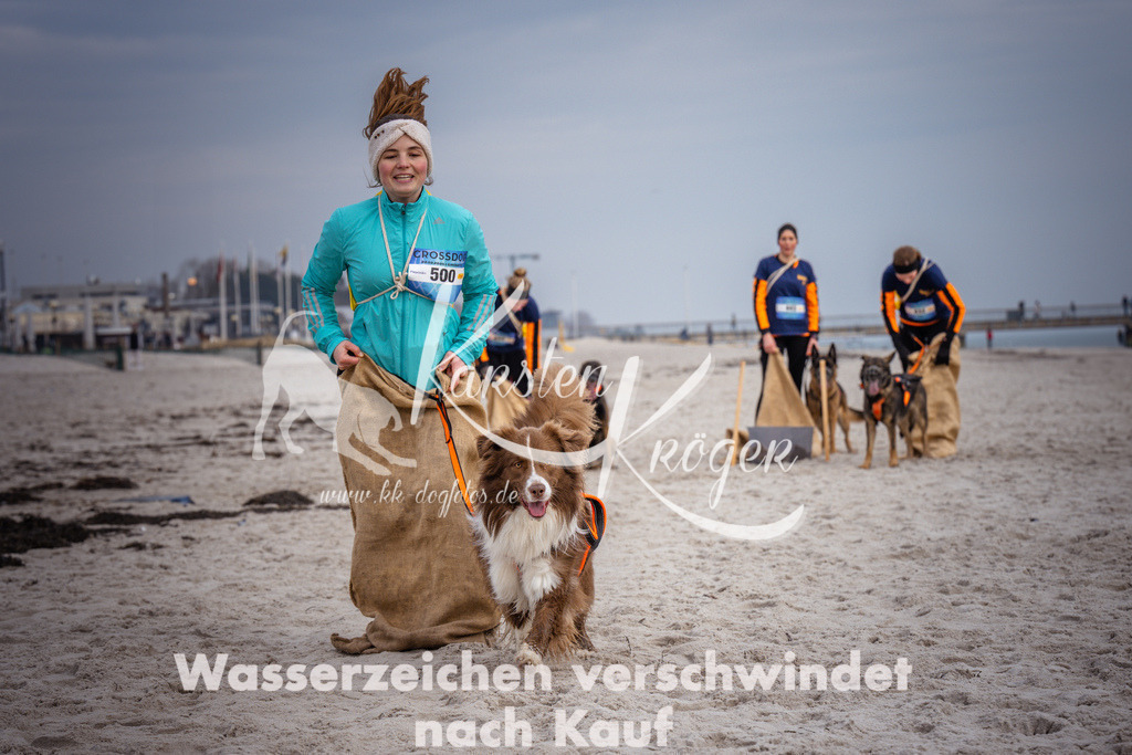 1256_ZZ97058 | kk-dogfotos