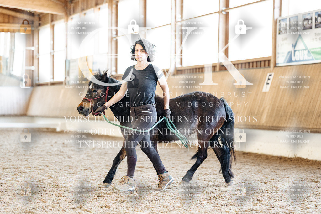 CK906871 | Turnierfotografie Pferdefotografie Trier Rheinland-Pfalz Pferdesport Reitsport Tierfotografie Sportfotografie Pferdevideo Pferdevideografie Equestrianvideography equestrianphotography  - Realisiert mit Pictrs.com