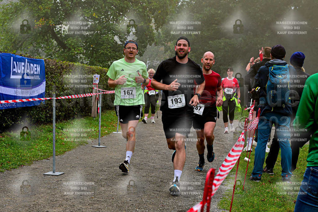 Z8N_1906 | la-psv - Realisiert mit Pictrs.com