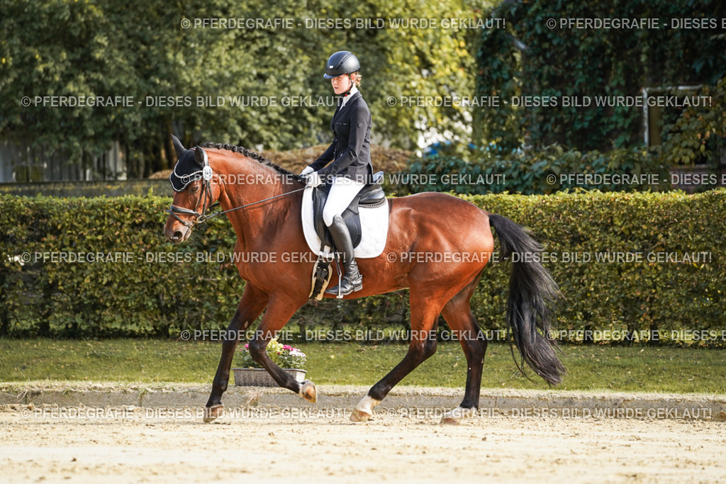 DSC05752 | Pferdegrafie