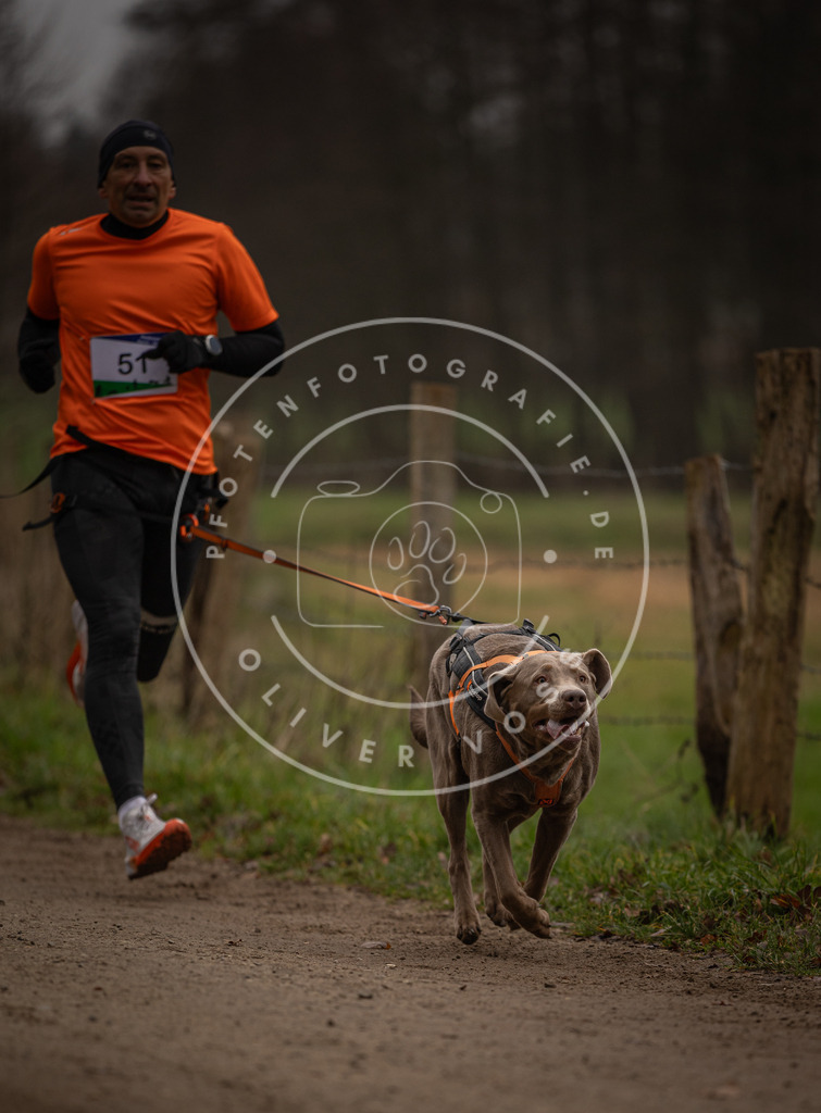 Pfotenfotografie_DV3A2870 | Hundefotografie, Tierfotograf, Pfotenfotografie, Fotoshooting Hund, Hunde Portrait, Hundesport, Hundeportraits, Heideshooting, Hunde, Sportfotograf, Hundefotograf, Turnierhundsport, THS,  - Realisiert mit Pictrs.com