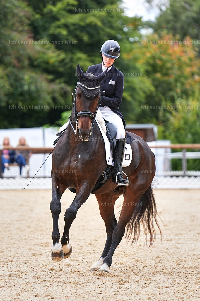 6-113-AMATUER-DRESSUR S_  -Marixx-3754 | working equitationturnier fotograf videograf stoibphotography marixx film working equitation deutschland reitsport turnierfotografie eventfotografie equestrian events