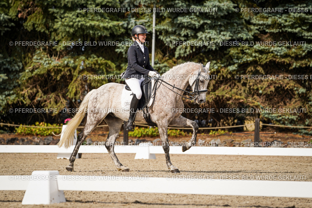 DSC07140 | Pferdegrafie