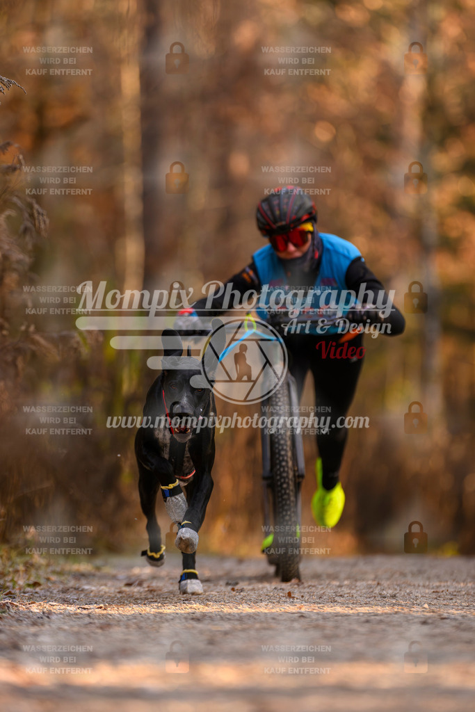 MompixPhotography_DM_AKDM_SO_2025_Scooter-82 | PayLife